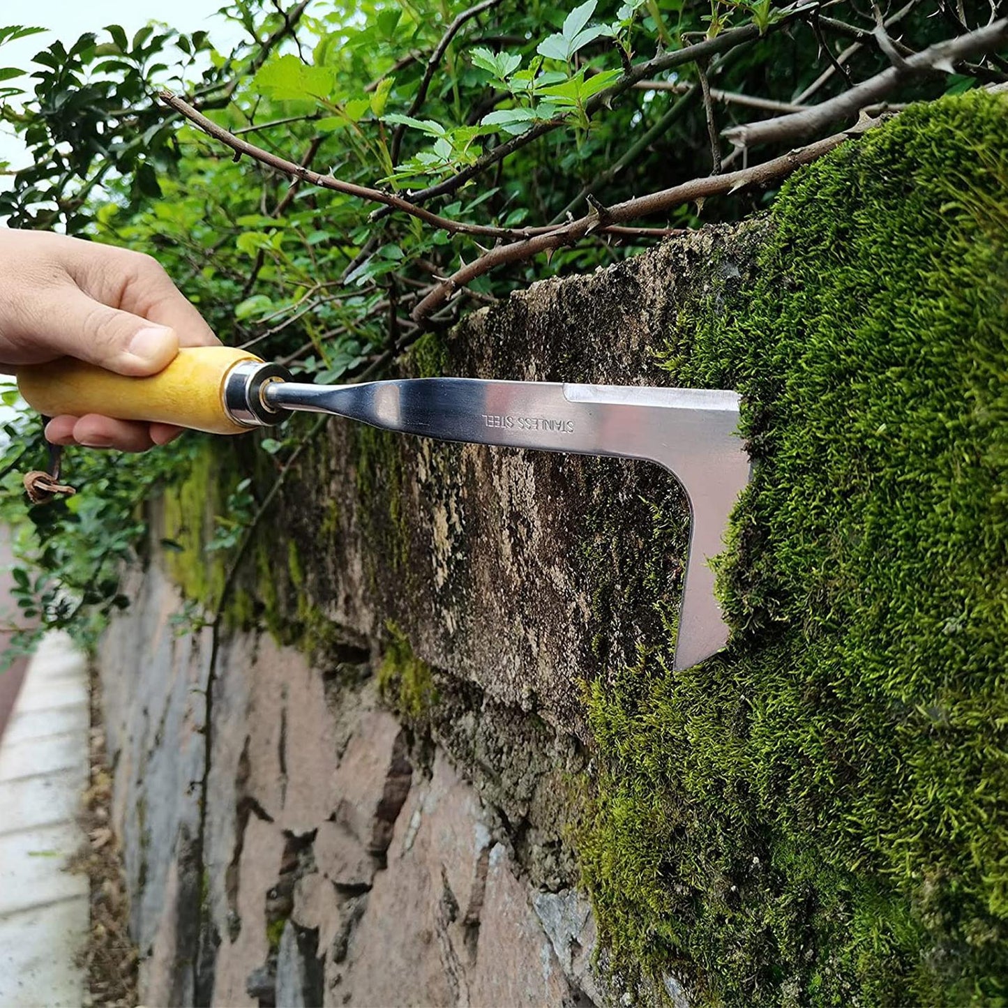 CrevWeeder® | Scharfes Spalt- und Ritzen-Unkrautentfernungs- und Schneidwerkzeug