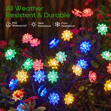 Solarbetriebenes, wetterbeständiges Garten-LED-Lichtset
