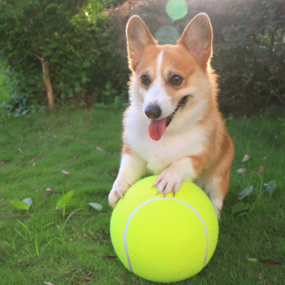 Aufblasbarer Tennisball | Hundespielzeug