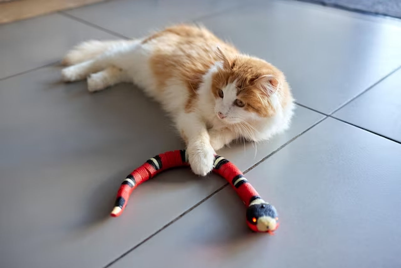 Jouets de serpent intelligents