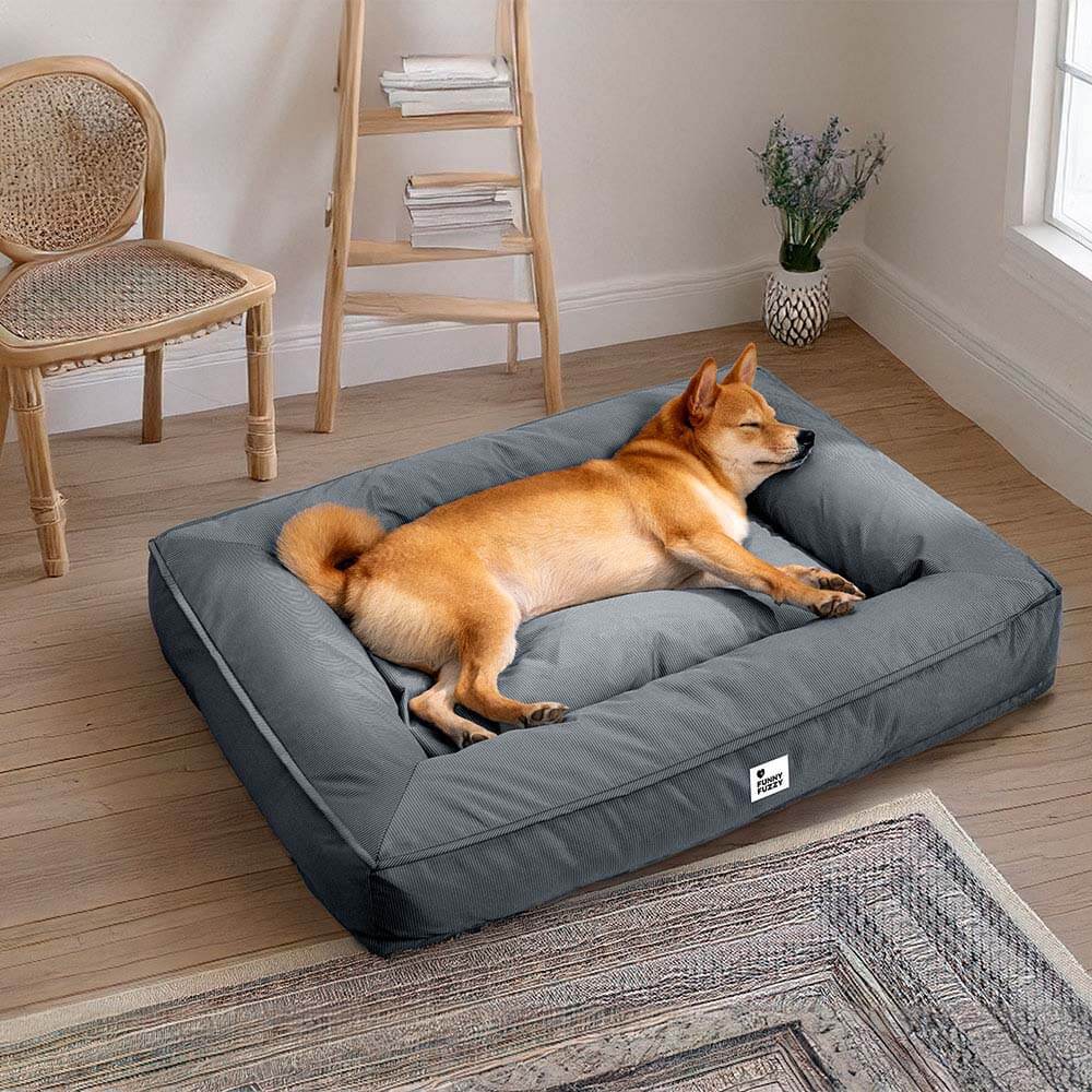Lit pour animaux de compagnie étanche