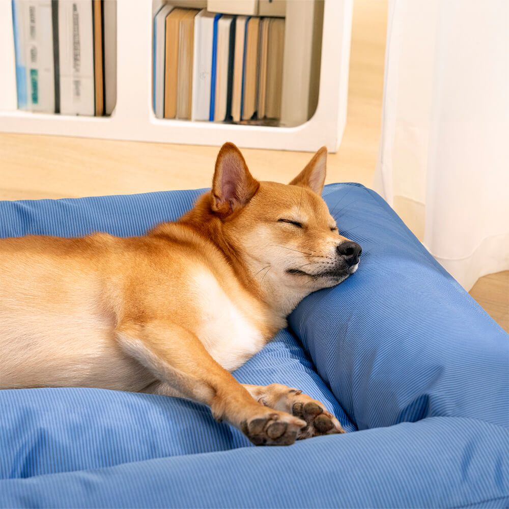 Lit pour animaux de compagnie étanche