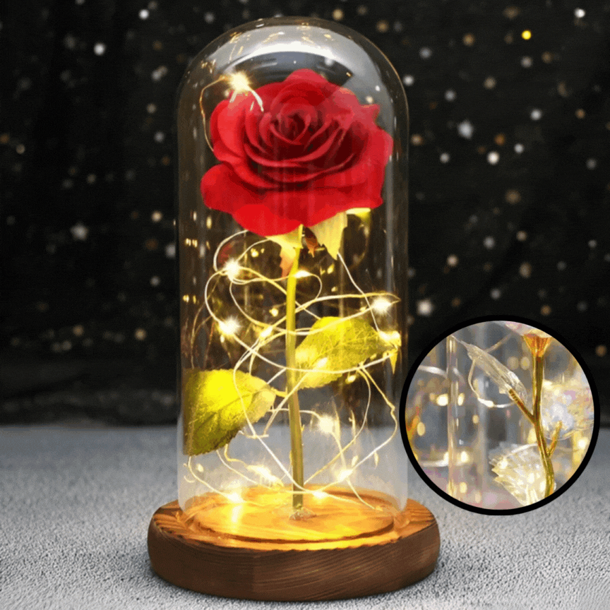 Rose à la conduite